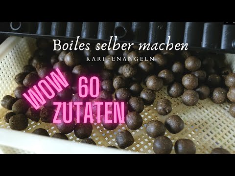 Boilies selber machen - UNGLAUBLICHER Boilie mit mehr als 60 Zutaten