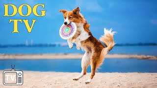 DOG TV: Video Entertain Keep Your Dog Happy When Home Alone - Ultimate Anti Anxiety Music For Dogs!
