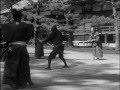 Ninjutsu Togakure Ryu