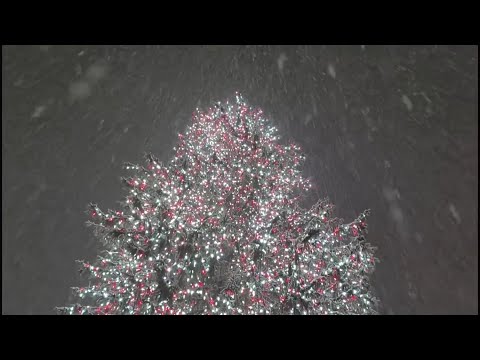 Christmas in the UK | Christmas Traditions and Celebration in Great Britain | English Task