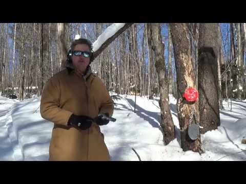 Kimber 1911 .45 ACP Compact Stainless II