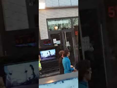 Tom holland en el hormiguero