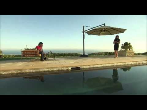 Stacy Francis Purple Rain . Amazing  performing