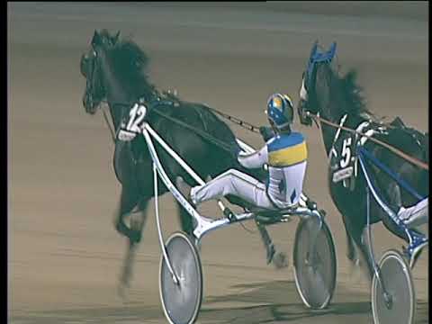 Trotto 12/08/2017 - 7ª corsa