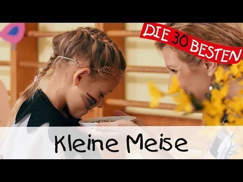 download lagu mp3 mp4 Liedtext Kleine Meise, download lagu Liedtext Kleine Meise gratis, unduh video klip Liedtext Kleine Meise