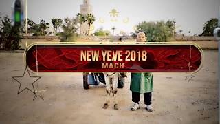 New Years eve 2018  Magic Marrakech teaser2