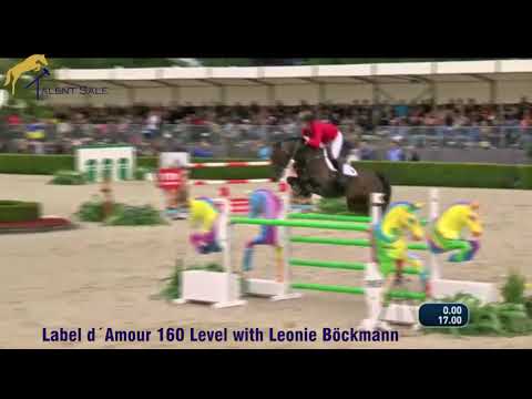 6 filly by Cornets Quaprice - Stakkato