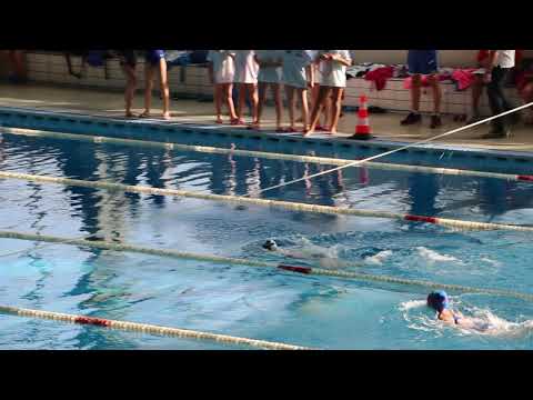 LG 7 anni - seconda gara nuoto febbraio 2019 a Imola (25 delfino)