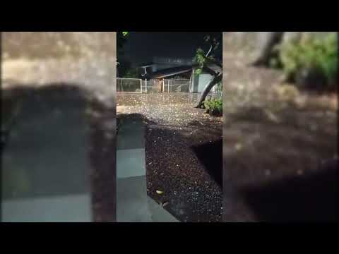 Chuva de granizo surpreende moradores de Santa Helena e São Pedro do Iguaçu na madrugada