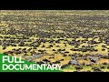 Great Migration Wild Ones Episode 11 Free Documentary Nature