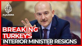 Turkey's interior minister resigns over coronavirus response