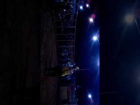 Circo de touro favela de ouro