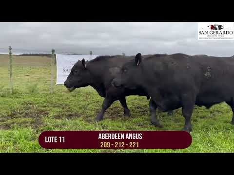 San Gerardo en Florida. Lote 11. 1 de Octubre en la Rural de Reboledo. Remata Escritorio Arrospide