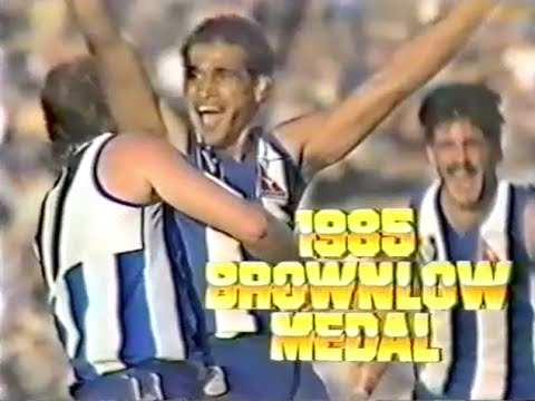 1985 VFL Brownlow Medal
