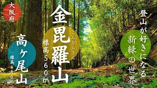 Konpira Mountain - Circular Route Climbing [Takatsuki City, Osaka Prefecture] A Green World