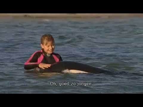 Free Willy: Escape from Pirate's Cove | 2010 | FirstSecondEveryMinute