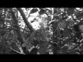 Neurosis - To The Wind