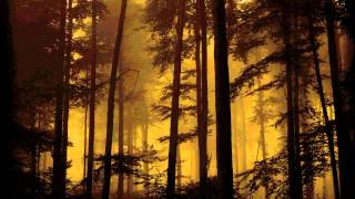 Sinful Eternity - Death Waiting For Me