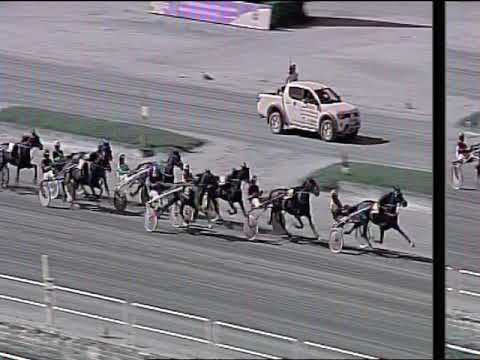 Trotto 08/09/2019 - 3ª corsa