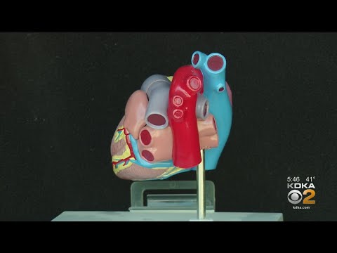 New Research About How Coronavirus Impacts Organs