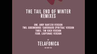 telafonica - The Tail End of Winter (Andy Rantzen's reversion)