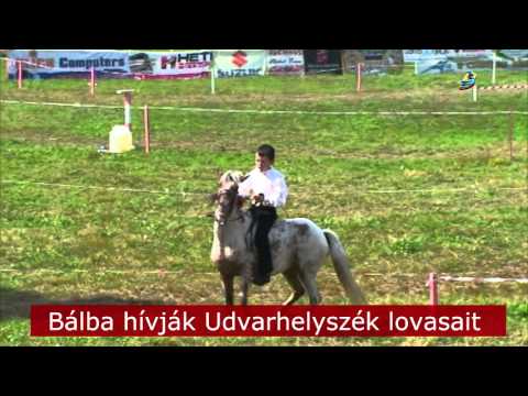 Bálba hívják Udvarhelyszék lovasait