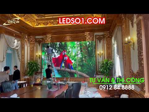 Video dự án
