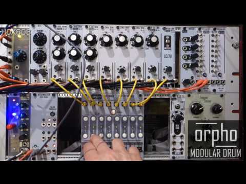 ORPHO MODULAR DRUM MACHINE I FLASH TRIGGER I 8 x16 Analog Step Sequencer for EURORACK MODULAR
