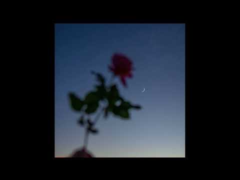 powfu x rxseboy ukulele type beat - “for you” | ukulele lofi instrumenta