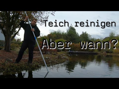 Die Teichreinigung...wann Blog 50