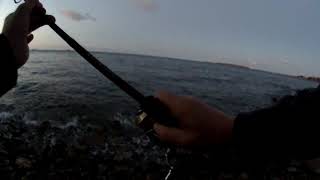 Miniature de la vidéo Gros bar du bord au Flash Minnow