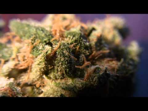 Stubenrocker feat. MCD - Mary (2007)