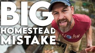 Lazy Homesteading is KILLING our food!