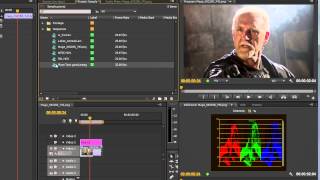 Premiere Pro CS6 Techniques: 50 Color FOUR RGB Parade