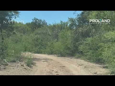 🌾 Descubrí la simplicidad de la vida en Campo Nativo - 📍 Cruz del Eje, Córdoba