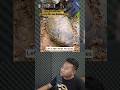 DRAGON EGG STONE FOUND Dragon Shorts Viral Gold Stone