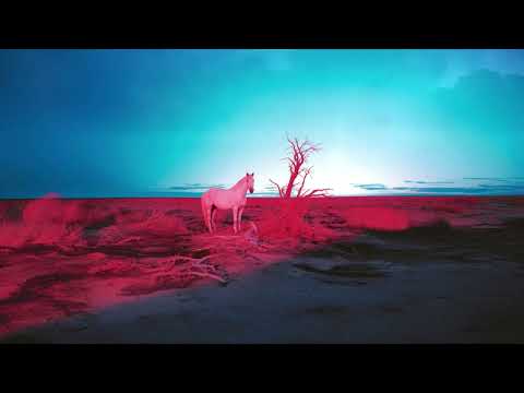 Video thumbnail for DON’T SHOOT THE MESSENGER