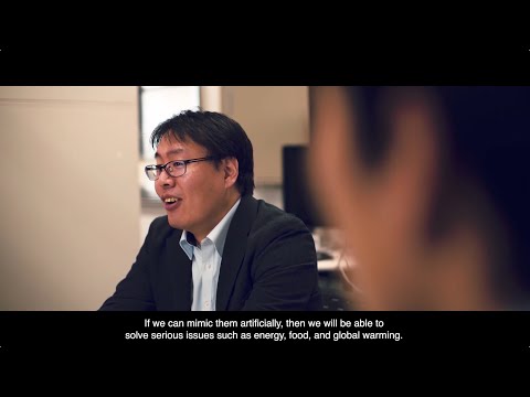 Forging a New Path to Quantum Information at The University of Osaka