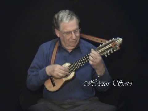 Quiero ser tu sombra - Héctor Soto - Charango - Musica instrumental andina