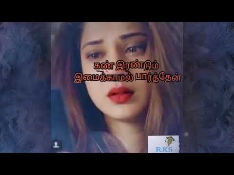 pogum vazhiyellam kaatre song 💔lyrics💔 in Tamil 💔from 💔ratchagan💔 movie 💔whatsapp status