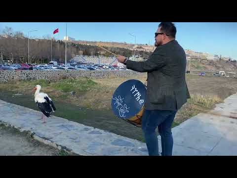 Leylek & Ahmet Çelik