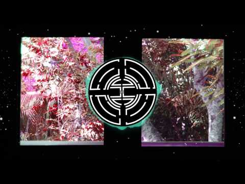 Yolanda Be Cool | A Baru In New York (ft. Gurrumul) | Flume Remix | 2013