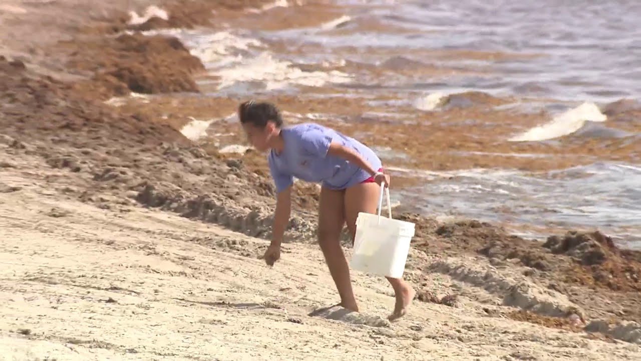 Fill a Bag mission turns beach day into clean-up effort