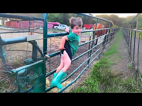 Funniest Kid Fails Compilation - Try Not To Laugh
