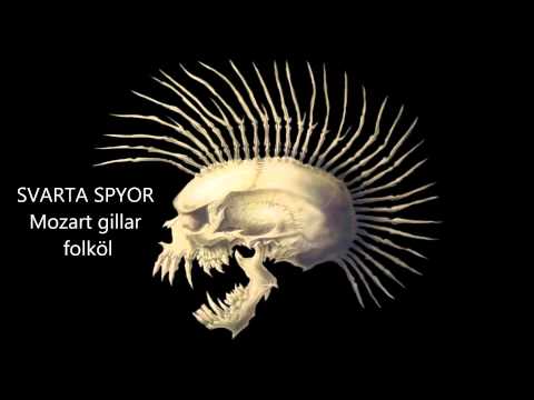 Svarta Spyor   Mozart gillar folköl