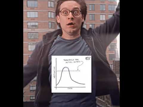 "Motivation vs Discipline" - Spider-Man & Peter Parker Edit | MONTAGEM RUGADA