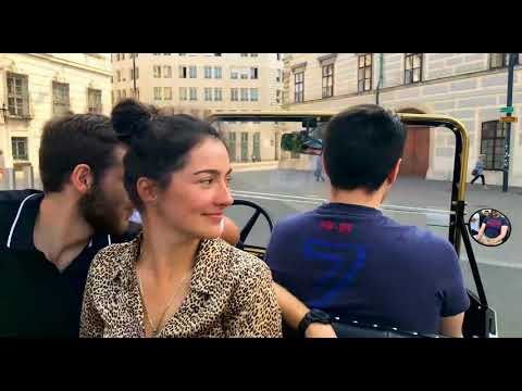 Sightseeing tour vienna