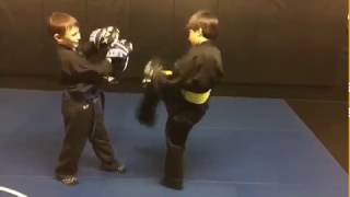 Stevenage Junior Martial arts
