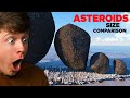 Reacting To ASTEROIDS Size Comparison Crazy