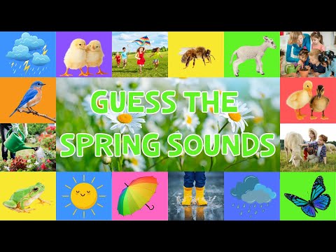 Guess the Spring Sounds for Kids | Fun Spring Listening Game  | 4K